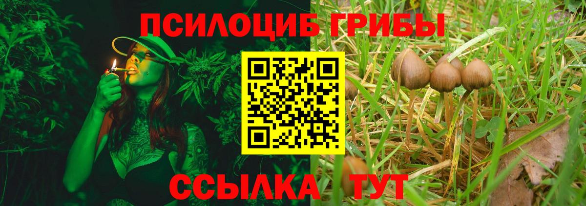 Галлюциногенные грибы Psilocybe Фурманов