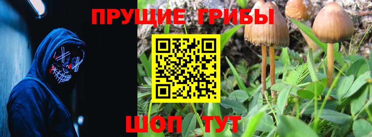 Фурманов  Галлюциногенные грибы ЛСД  Вход с VPN 